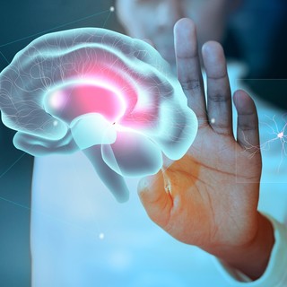 Il cervello scompone i gesti