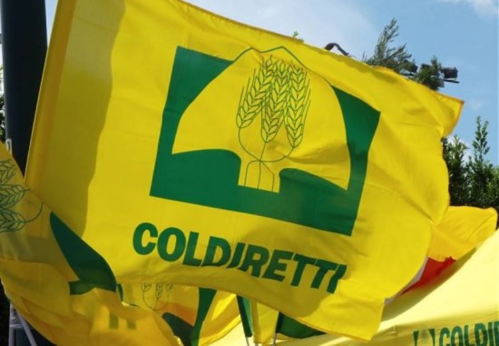 Coldiretti VdA, 'i ritardi nelle colture sono causati dal maltempo' Coldiretti VdA, 'i ritardi nelle colture sono causati dal maltempo'