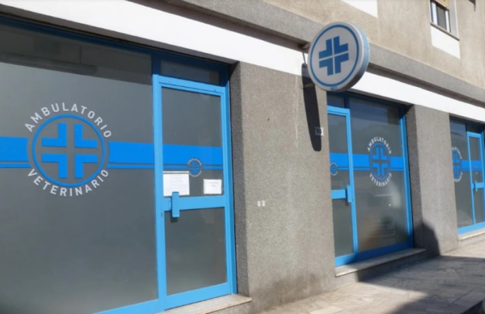 Cane morto dopo la sedazione, il Centro Veterinario di Nus ricostruisce i fatti e spiega cosa è accaduto prima dell' ingresso in canile