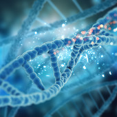 Webinar gratuito; dall’endotossiemia metabolica al declino cognitivo
