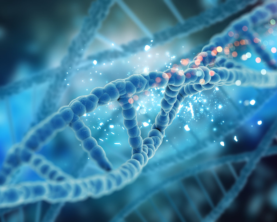 Webinar gratuito; dall’endotossiemia metabolica al declino cognitivo