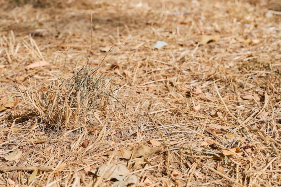 Crisi idrica, la Valle resta in affanno; perso il 20% della disponibilità d'acqua Crisi idrica, la Valle resta in affanno; perso il 20% della disponibilità d'acqua
