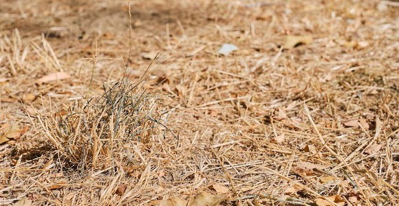 Crisi idrica, la Valle resta in affanno; perso il 20% della disponibilità d'acqua