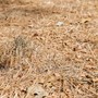 Crisi idrica, la Valle resta in affanno; perso il 20% della disponibilità d'acqua Crisi idrica, la Valle resta in affanno; perso il 20% della disponibilità d'acqua