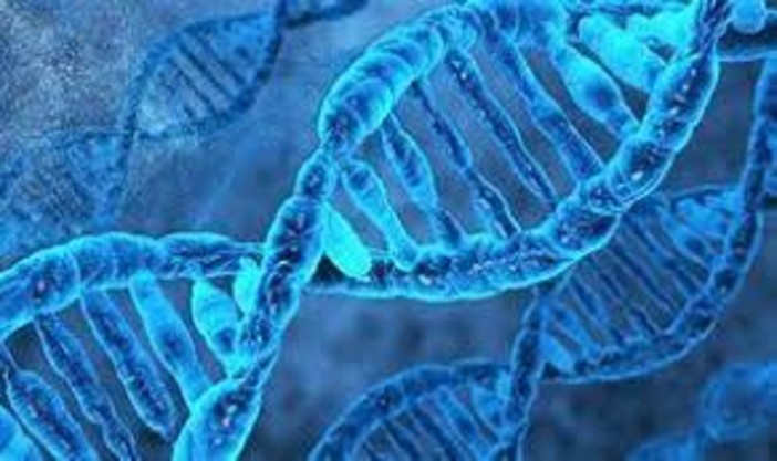 L’eDNA atmosferico; la nuova frontiera del monitoraggio ambientale