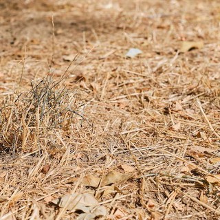 Crisi idrica, la Valle resta in affanno; perso il 20% della disponibilità d'acqua