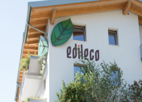 Crisi Edileco, il giudice respinge istanza di proroga e fissa udienza per lunedì 1 luglio Crisi Edileco, il giudice respinge istanza di proroga e fissa udienza per lunedì 1 luglio