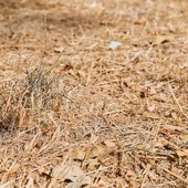 Crisi idrica, la Valle resta in affanno; perso il 20% della disponibilità d'acqua Crisi idrica, la Valle resta in affanno; perso il 20% della disponibilità d'acqua