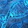 L’eDNA atmosferico; la nuova frontiera del monitoraggio ambientale