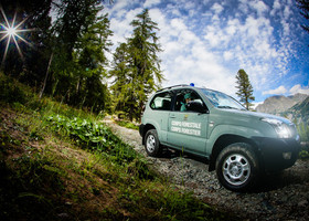 Corpo forestale, la Giunta approva nuovo disegno di legge sull’ordinamento