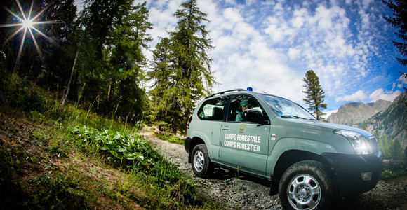Il Consiglio Valle approva la 'rivoluzione' del Corpo forestale Il Consiglio Valle approva la 'rivoluzione' del Corpo forestale
