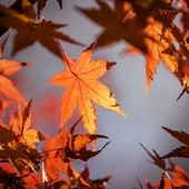 Weekend in Valle d'Aosta; miele, castagne, sport e tradizioni