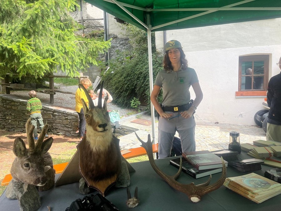 Corpo forestale, in Consiglio Valle la riforma da 85 articoli