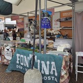 Terra Madre, nove imprese valdostane a Torino, vendite e nuovi contatti per i produttori
