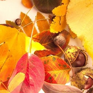 Halloween, castagnate e grandi eventi; il ponte da non perdere