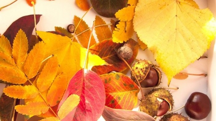 Halloween, castagnate e grandi eventi; il ponte da non perdere