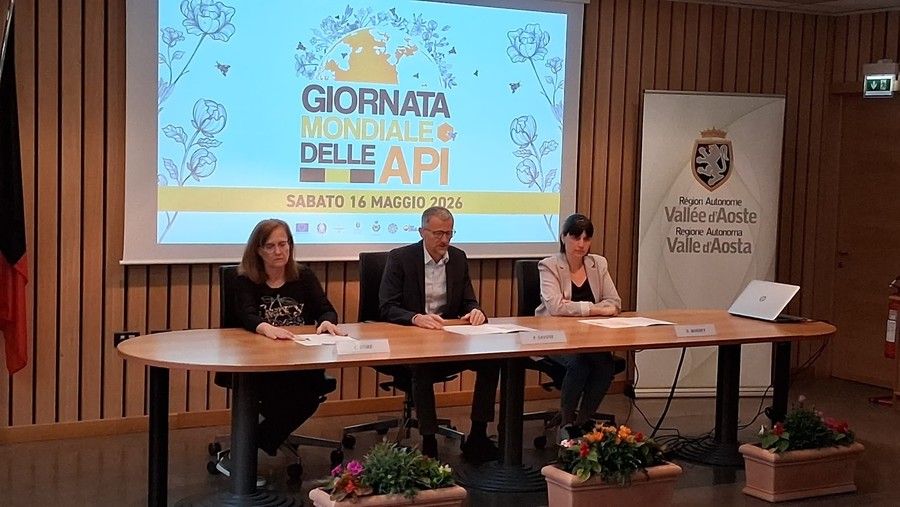 Un momento della conferenza stampa nella sede dell'assessorato regionale dell'Agricoltura