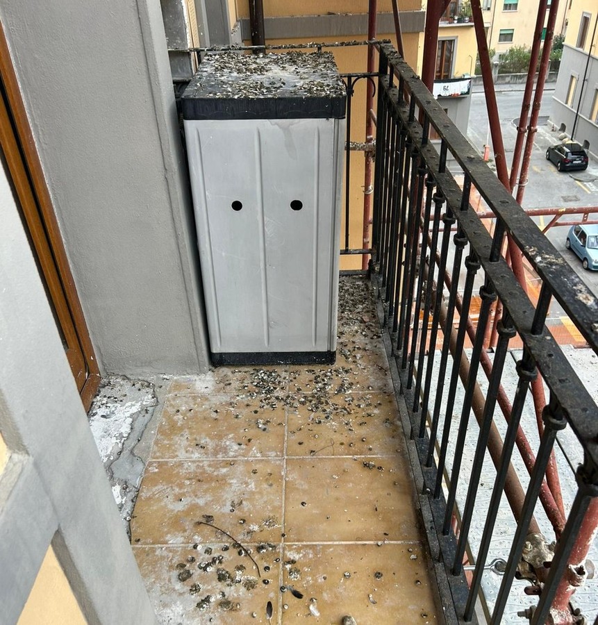 Quartiere Cogne, guano e rischio igiene dai cantieri in via Lexert: segnalazioni ad Arer e Procura