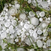 Grandinata sulla Plaine, danni alle vigne