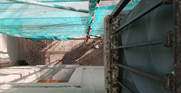 Aosta, 'alle Giacchetti del quartiere Cogne siamo ostaggi del guano di piccione; così è invivibile'