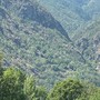 Domato l'incendio boschivo sopra Montjovet