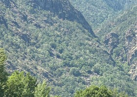 Domato l'incendio boschivo sopra Montjovet