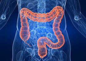 'L’intestino 3.0', webinar su questo grande sconosciuto per gli operatori della salute 'L’intestino 3.0', webinar su questo grande sconosciuto per gli operatori della salute