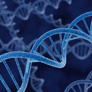 Nuova prospettiva sulla formazione degli anelli di Dna nei tumori