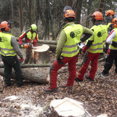 Al via la formazione di nuovi istruttori forestali in Valle d'Aosta