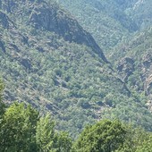 Domato l'incendio boschivo sopra Montjovet