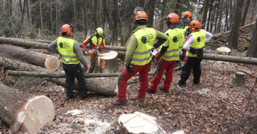 Al via la formazione di nuovi istruttori forestali in Valle d'Aosta