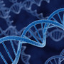 Nuova prospettiva sulla formazione degli anelli di Dna nei tumori Nuova prospettiva sulla formazione degli anelli di Dna nei tumori