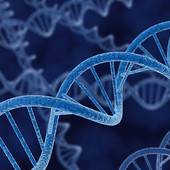 Nuova prospettiva sulla formazione degli anelli di Dna nei tumori