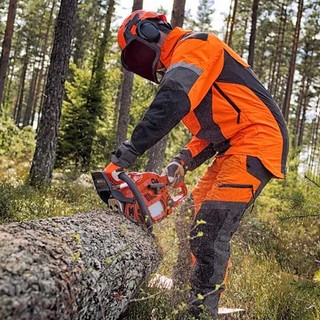 Avviata trattativa Regione-sindacati per rinnovo contratto forestali