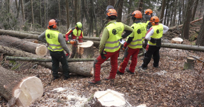 Al via la formazione di nuovi istruttori forestali in Valle d'Aosta