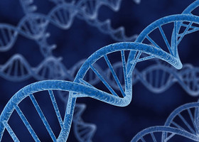 Nuova prospettiva sulla formazione degli anelli di Dna nei tumori Nuova prospettiva sulla formazione degli anelli di Dna nei tumori