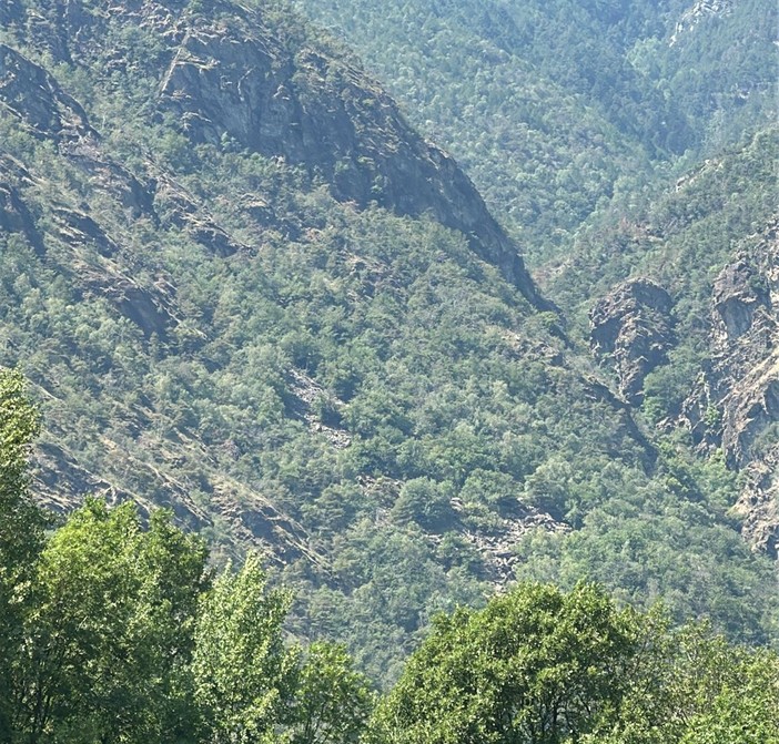 Domato l'incendio boschivo sopra Montjovet