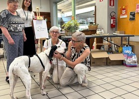 Raccolta alimentare per gatti e cani al Gros Cidac; in campo i volontari de La Zampa VdA Raccolta alimentare per gatti e cani al Gros Cidac; in campo i volontari de La Zampa VdA