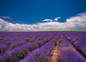 @Nikolay Hristov @Nikolay Hristov