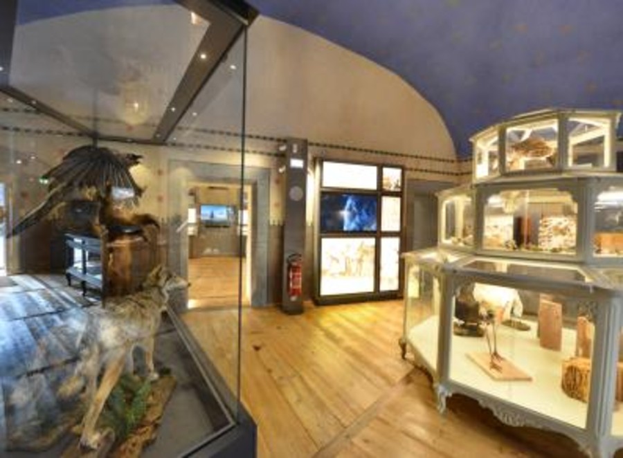 St-Pierre, il Museo di Scienze naturali è 'sotto le stelle'