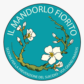 Barriere anti suicidio al ponte di Introd, 'scelta necessaria, non rinviabile'