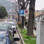 Aosta, multe in corso Père Laurent; protestano gli automobilisti per la segnaletica