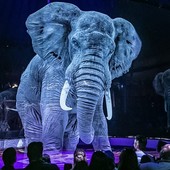 La 'grande magia' del circo Medini con animali olografici alla Croix Noire