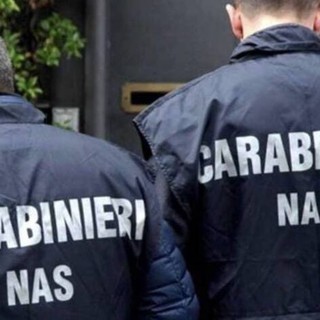 Gatta in ospedale, i carabinieri del Nas sono al 'Parini'