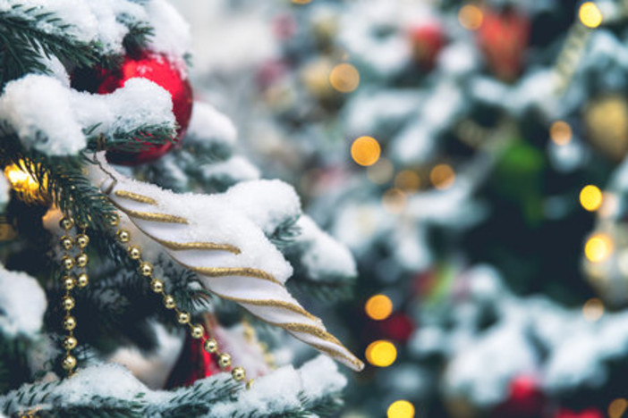 Photo Credtis: Olga Ilina