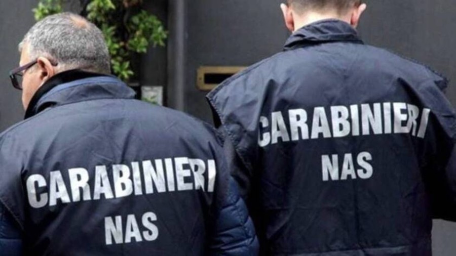 Gatta operata in ospedale: l'indagine esemplare del Nas ha fatto luce sul caso