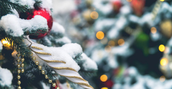 Photo Credtis: Olga Ilina Photo Credtis: Olga Ilina