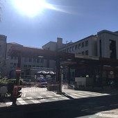 Escursionista raccoglie funghi, li mangia e finisce in ospedale