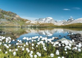 Il nuovo direttivo del Parco nazionale del Gran Paradiso Il nuovo direttivo del Parco nazionale del Gran Paradiso