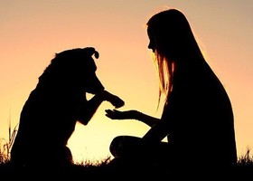 Aosta, torna il corso per i piccoli proprietari di cani